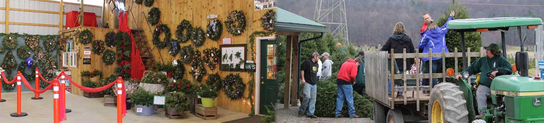JB TREE FARM